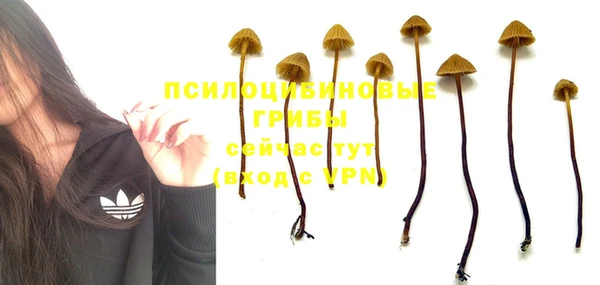 марки nbome Майский