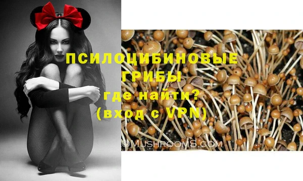 эйфоретик Магас