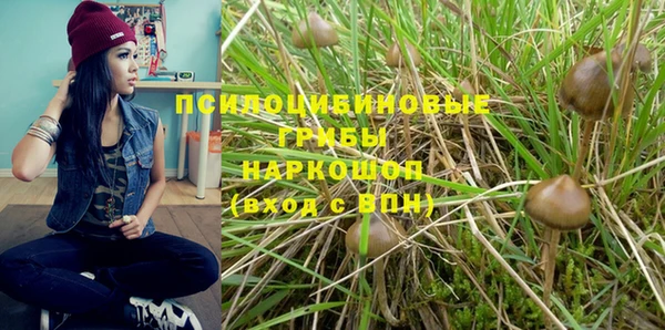 эйфоретик Магас
