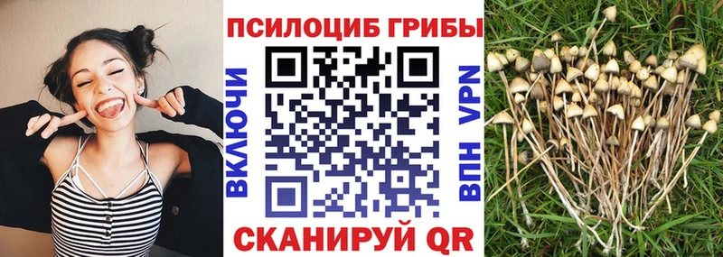 купить наркоту  Черепаново  гидра вход  Галлюциногенные грибы мухоморы 
